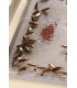 Anti Cockroach Product Sticky Cockroach Traps | Powerful Anti Cockroaches - 24 PCS