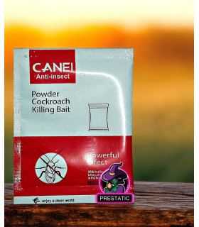 appâts, infestation, éradication, solution puissante, désinsectisation