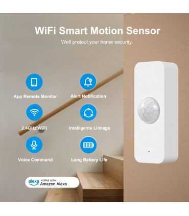 Détecteur capteur de mouvement WiFi pour Boite Aux Lettres