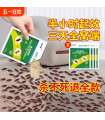 MAXIBAZARE.COM - Anti-cockroach, Control crawlers for a long time - 10 sachets