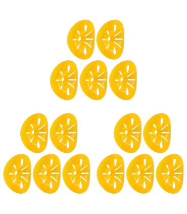 apiculture, contrôle des parasites, extérieur, piège à guêpes, réutilisable