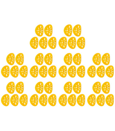 apiculture, contrôle des parasites, extérieur, piège à guêpes, réutilisable