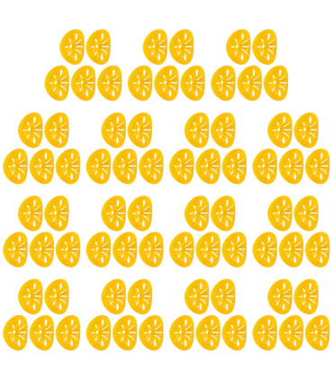 apiculture, contrôle des parasites, extérieur, piège à guêpes, réutilisable