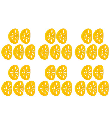 apiculture, contrôle des parasites, extérieur, piège à guêpes, réutilisable