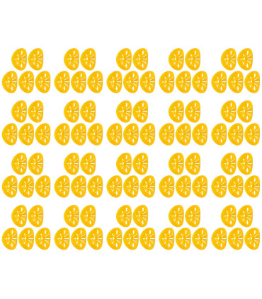 apiculture, contrôle des parasites, extérieur, piège à guêpes, réutilisable