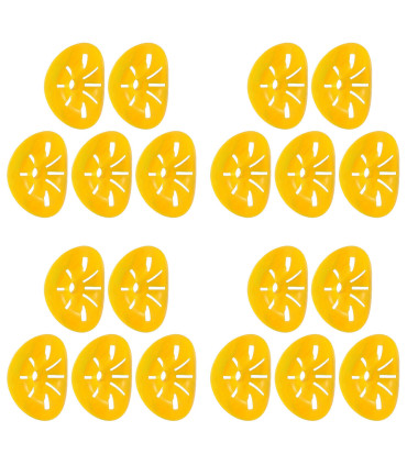 contrôle des parasites, extérieur, piège à guêpes, réutilisable, pratique, non