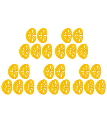 contrôle des parasites, extérieur, piège à guêpes, réutilisable, pratique, non