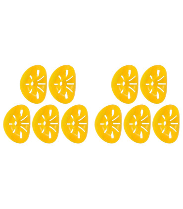 contrôle des parasites, extérieur, piège à guêpes, réutilisable, pratique, non