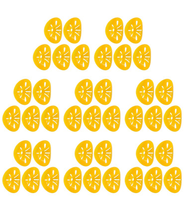 contrôle des parasites, extérieur, piège à guêpes, réutilisable, pratique, non