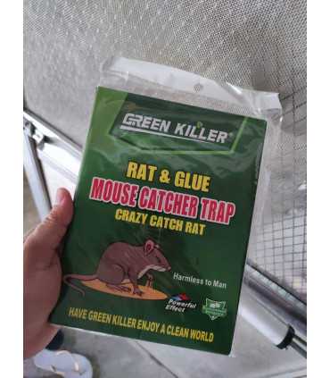 Parches pegajosos anti cucarachas, 4 piezas Trampa para ratas, Ratón