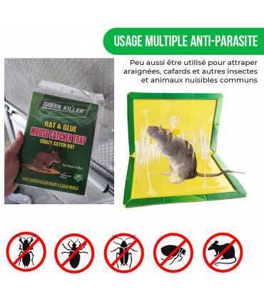 Parches pegajosos anti cucarachas, 4 piezas Trampa para ratas, Ratón