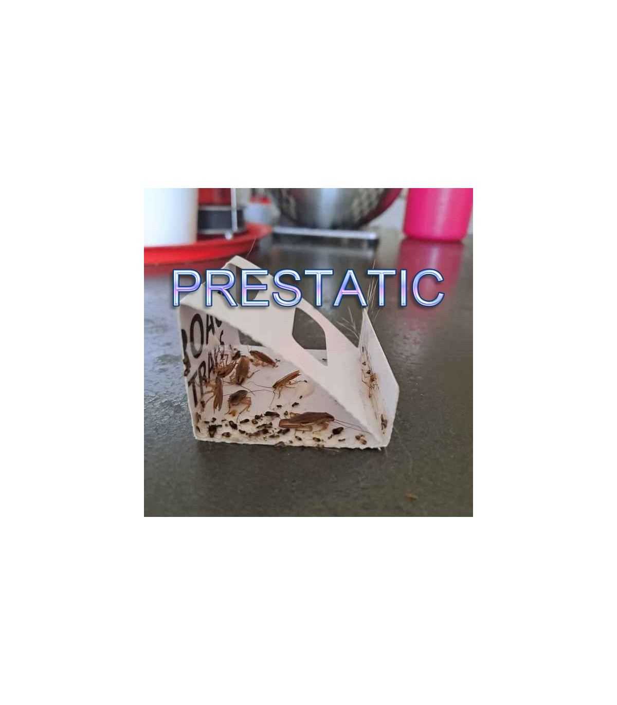 Sticky Cockroach Traps | Powerful Anti Cockroaches - 24 PCS