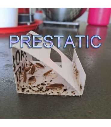 protection foyer, solution discrète, pièges à colle, non-toxique, sécurité