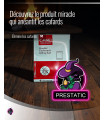 MAXIBAZARE.COM - Prestatic - 10 sachets of Anti Creeping Powder, Cockroach Cockroaches, Professional Anti Cockroaches
