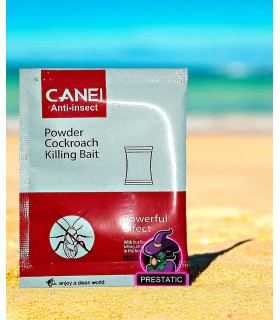 désinsectisation, anti-cafards, puissant, efficace, nuisibles, maison, blattes